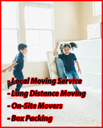 Packers And Movers Noida Sector 162